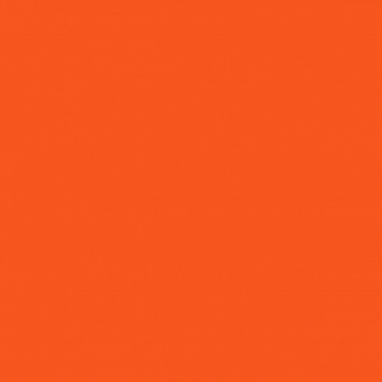 Lewis & Clark Athletics Orange