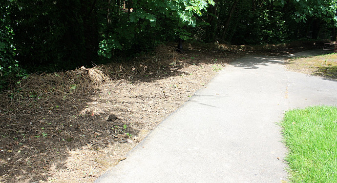 Taken by Katie Wright