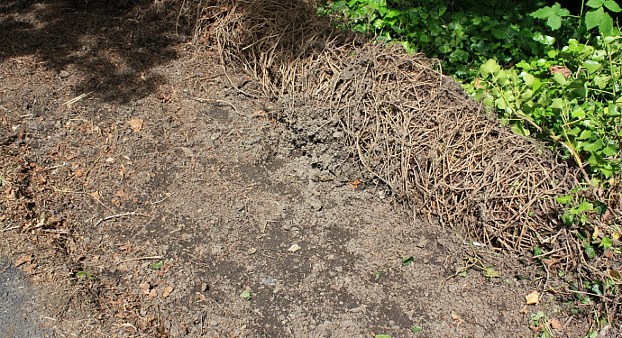 Taken by Katie Wright