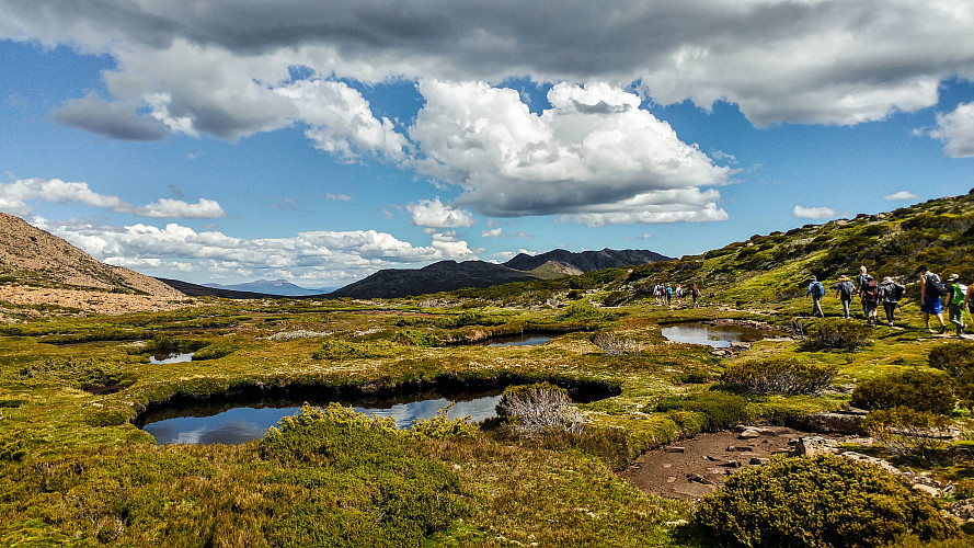 by Kellsy Nava-Lopez