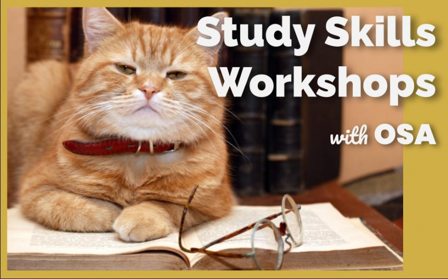 Study Skills workshops image 1