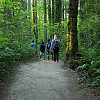 Assistant Professor Tracy Burkhard and her students conducted their research in nearby Tryon Creek State Natural Area.